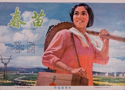 东北俄亥俄州大学医学院Diploma in Economics